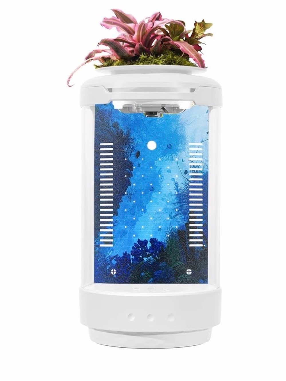 1.2 Gallon Aquarium Starter Kit Desktop Mini Fish Bowl **NEW**
